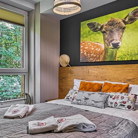 Apartament Spa 04 Resort Kozubnik Blisko Szczyrk - 5D Apartamenty Porąbka Exteriör bild